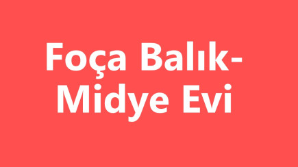 Balık midye